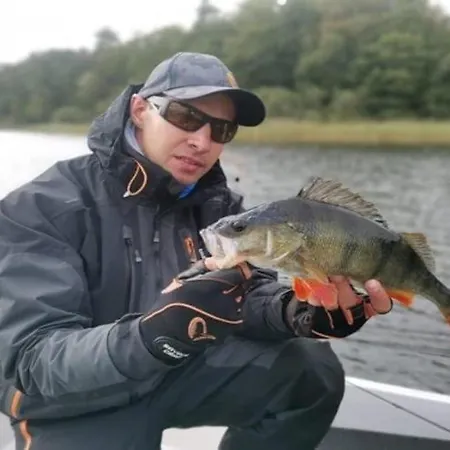 Comfortable With A Private Garden * Oswino