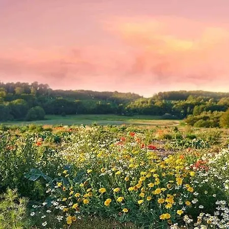 Comfortable With A Private Garden *